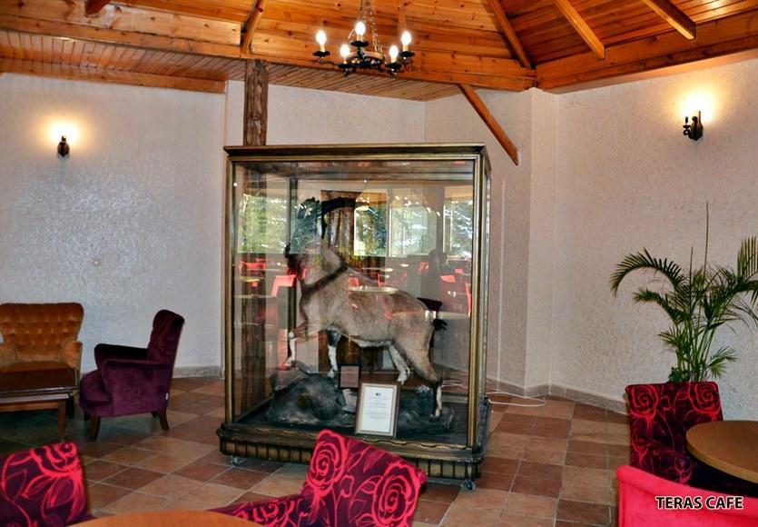 Patalya Thermal Resort Hotel Kızılcahamam Exteriér fotografie